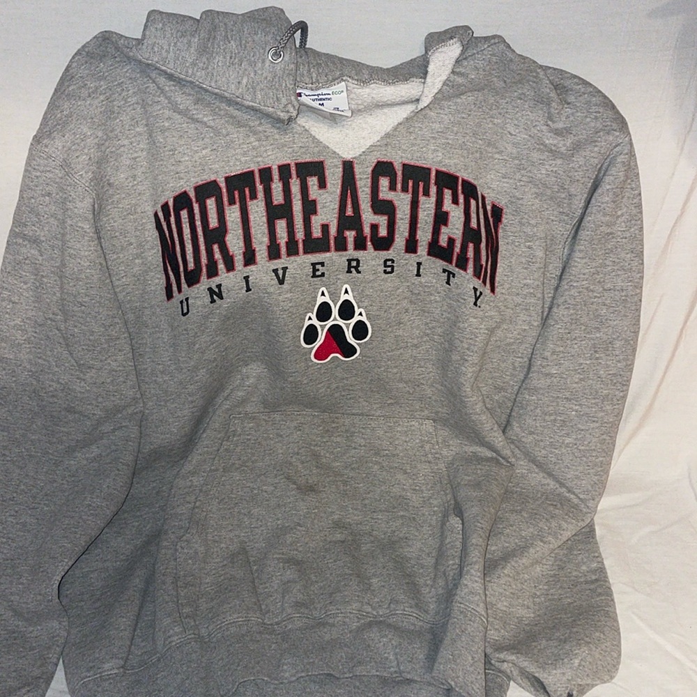 Northeastern Champion Hoodie